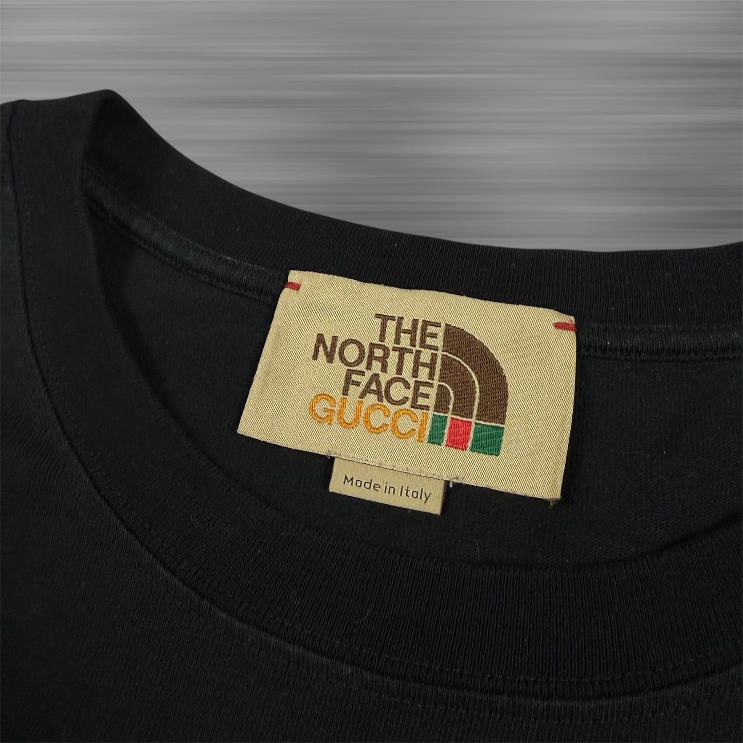 Gucci x The North Face T-Shirt
