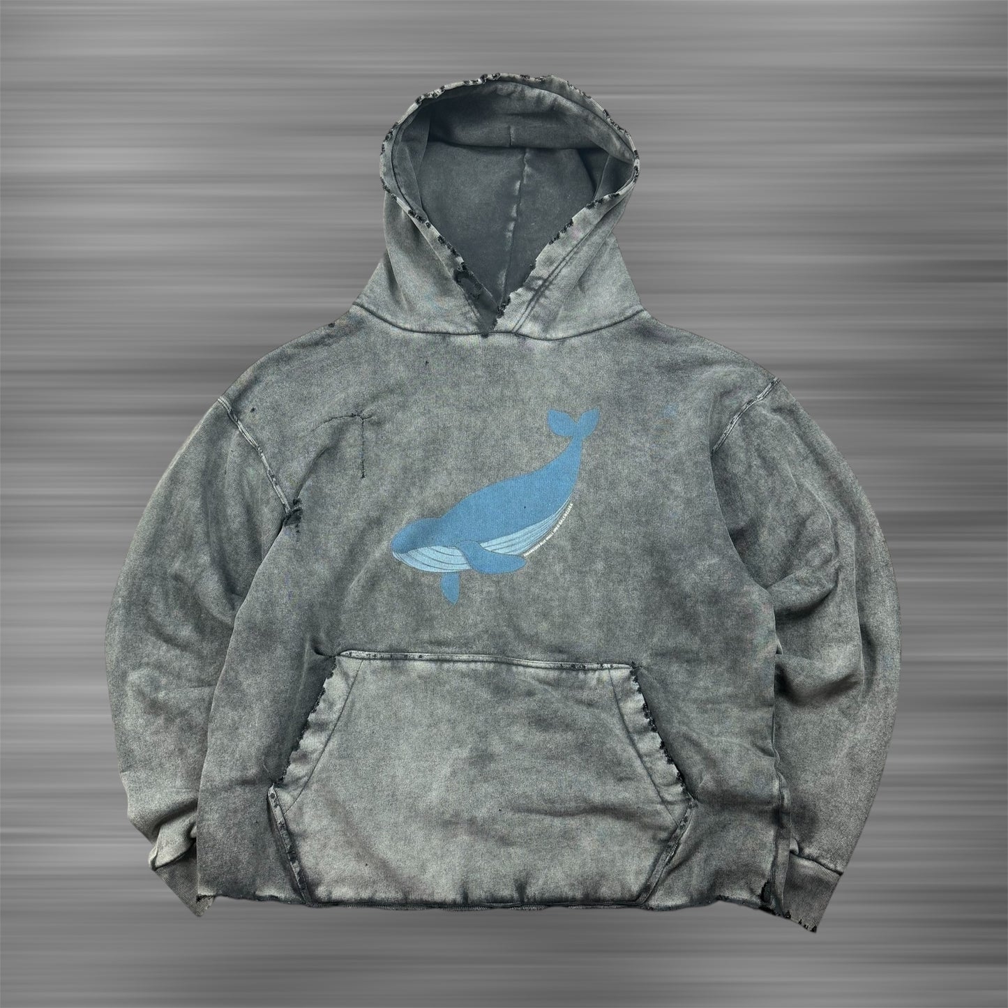 Balenciaga ‘19’ IUCN Blue Whale Hoodie