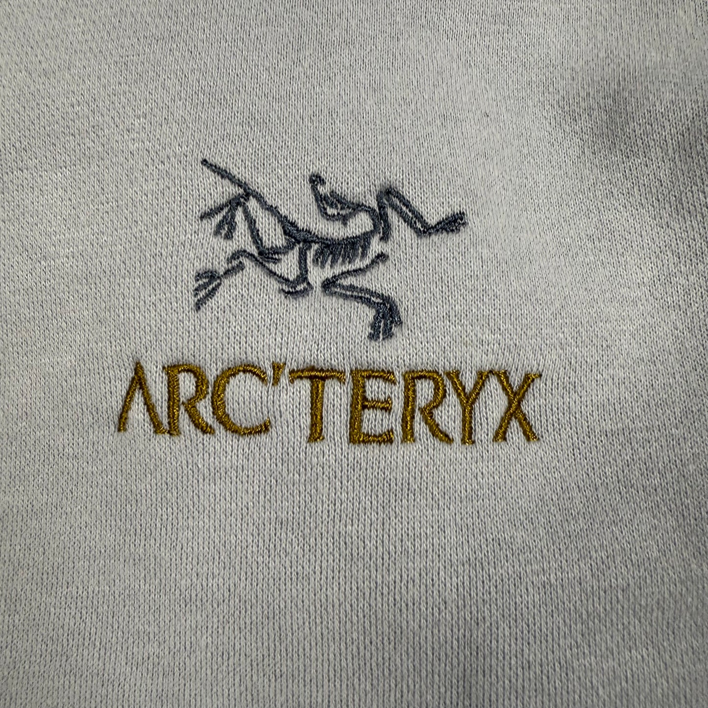 Arc’teryx fleece crewneck