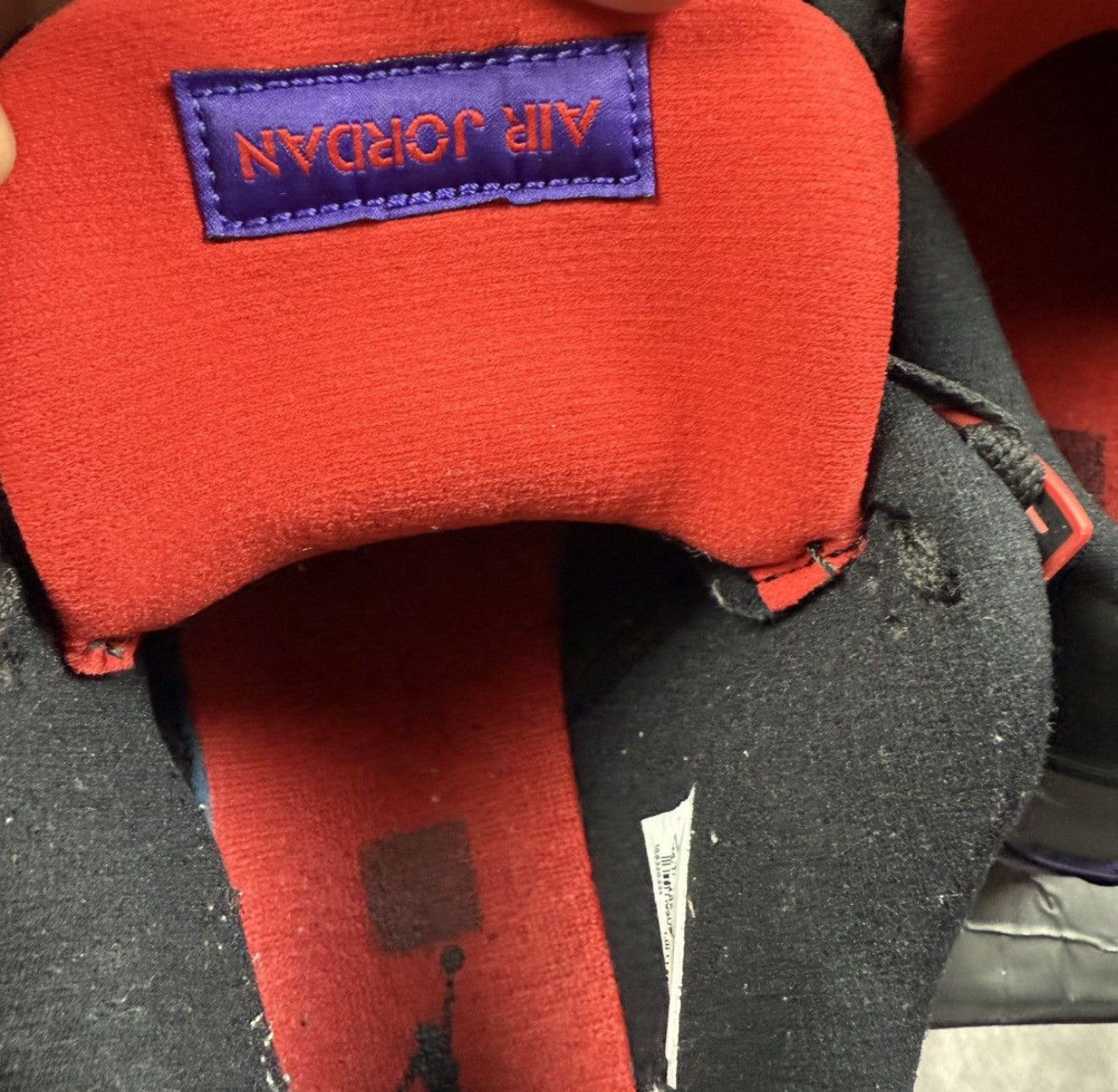 Jordan 4 Retro Raptors Shoes