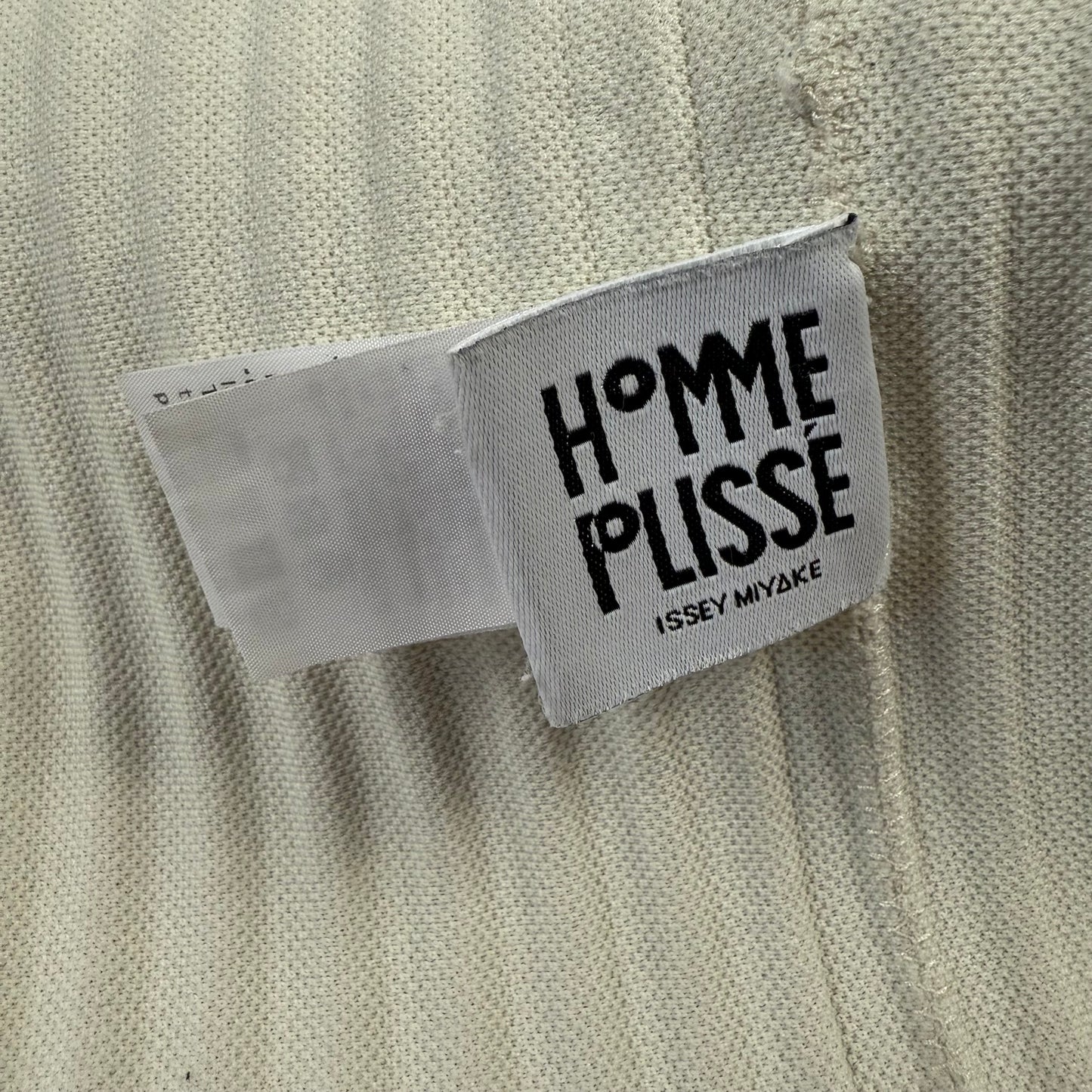 Homme Plissé Issey Miyake plissé Zip Hoodie