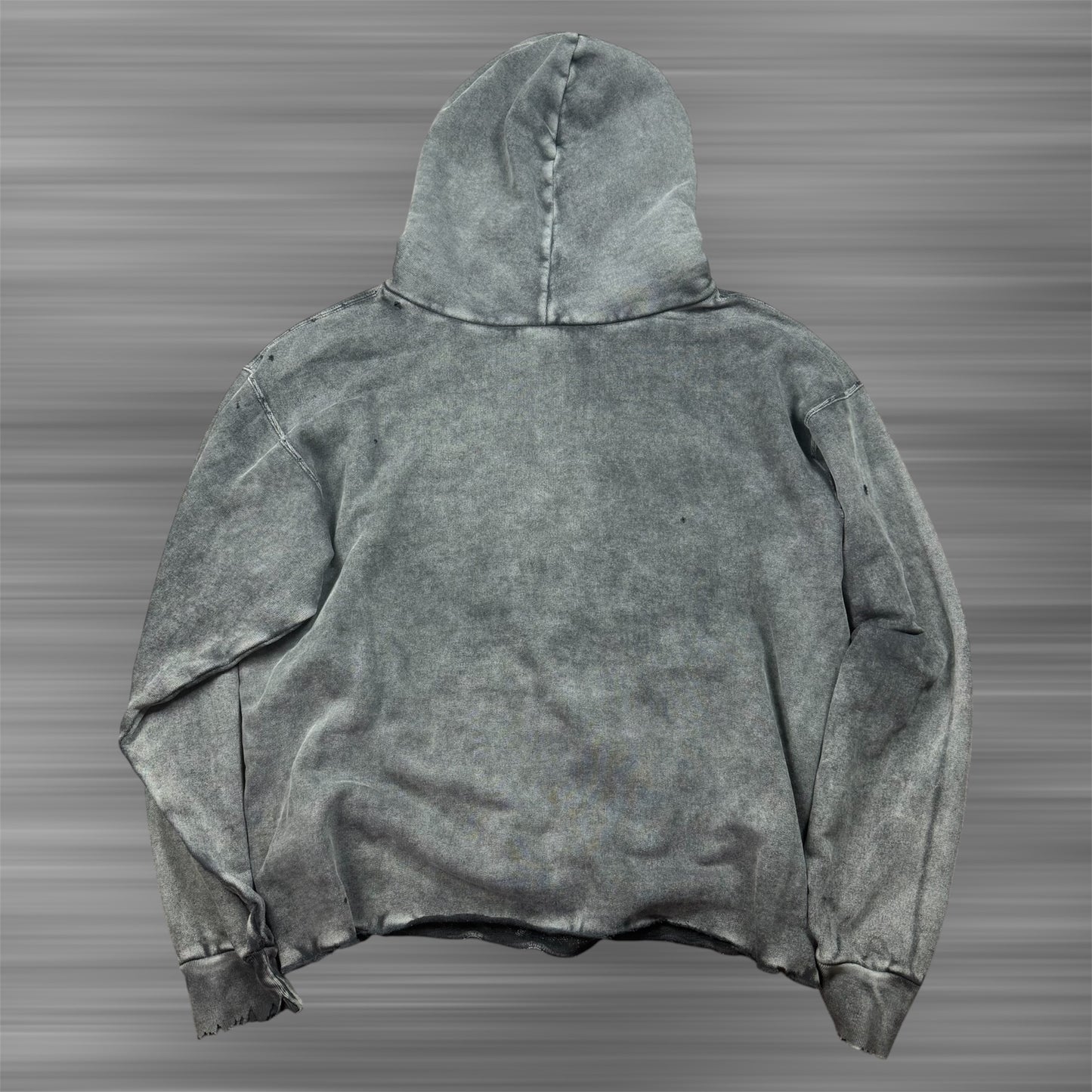 Balenciaga ‘19’ IUCN Blue Whale Hoodie