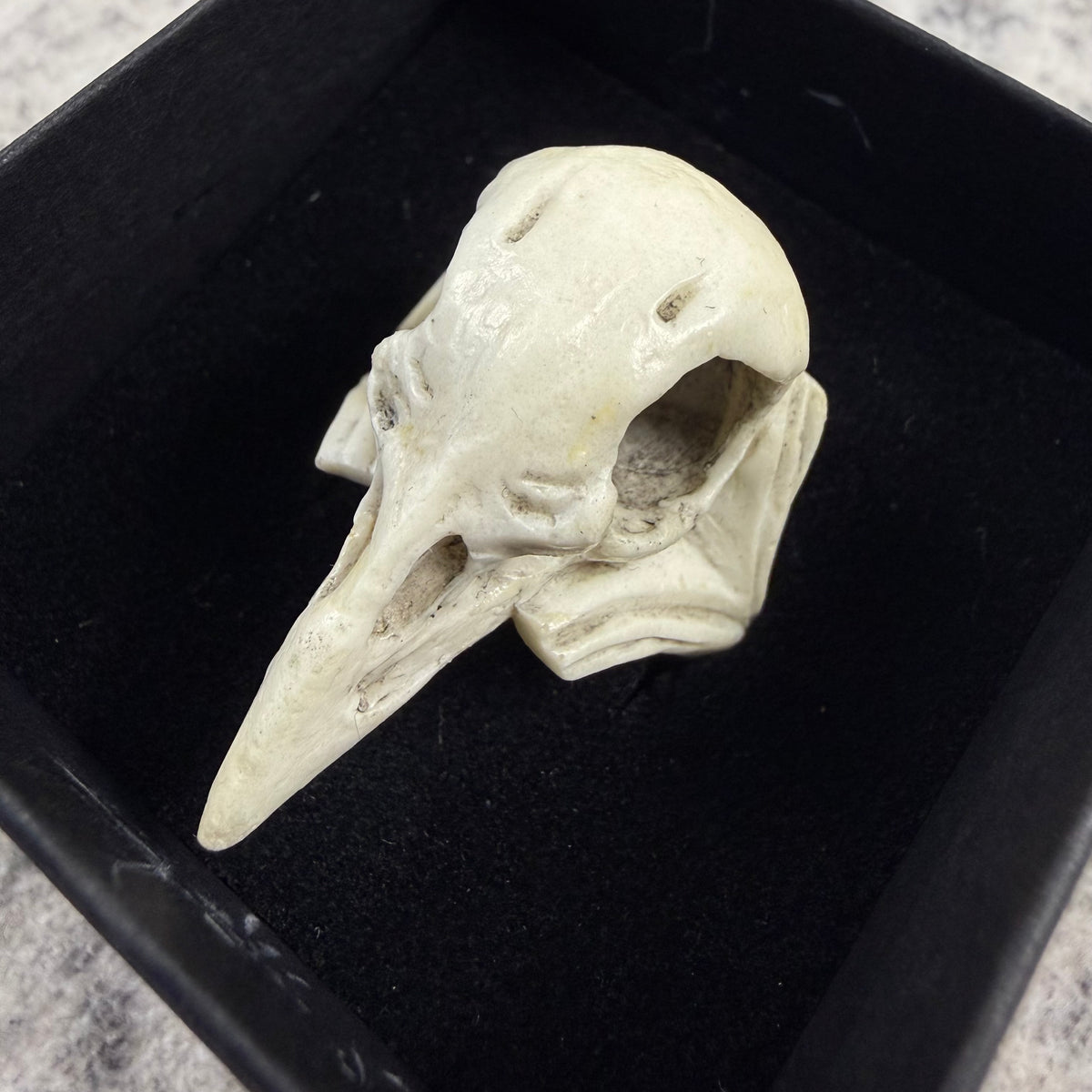Macabre Gadgets Raven Skull White Ring