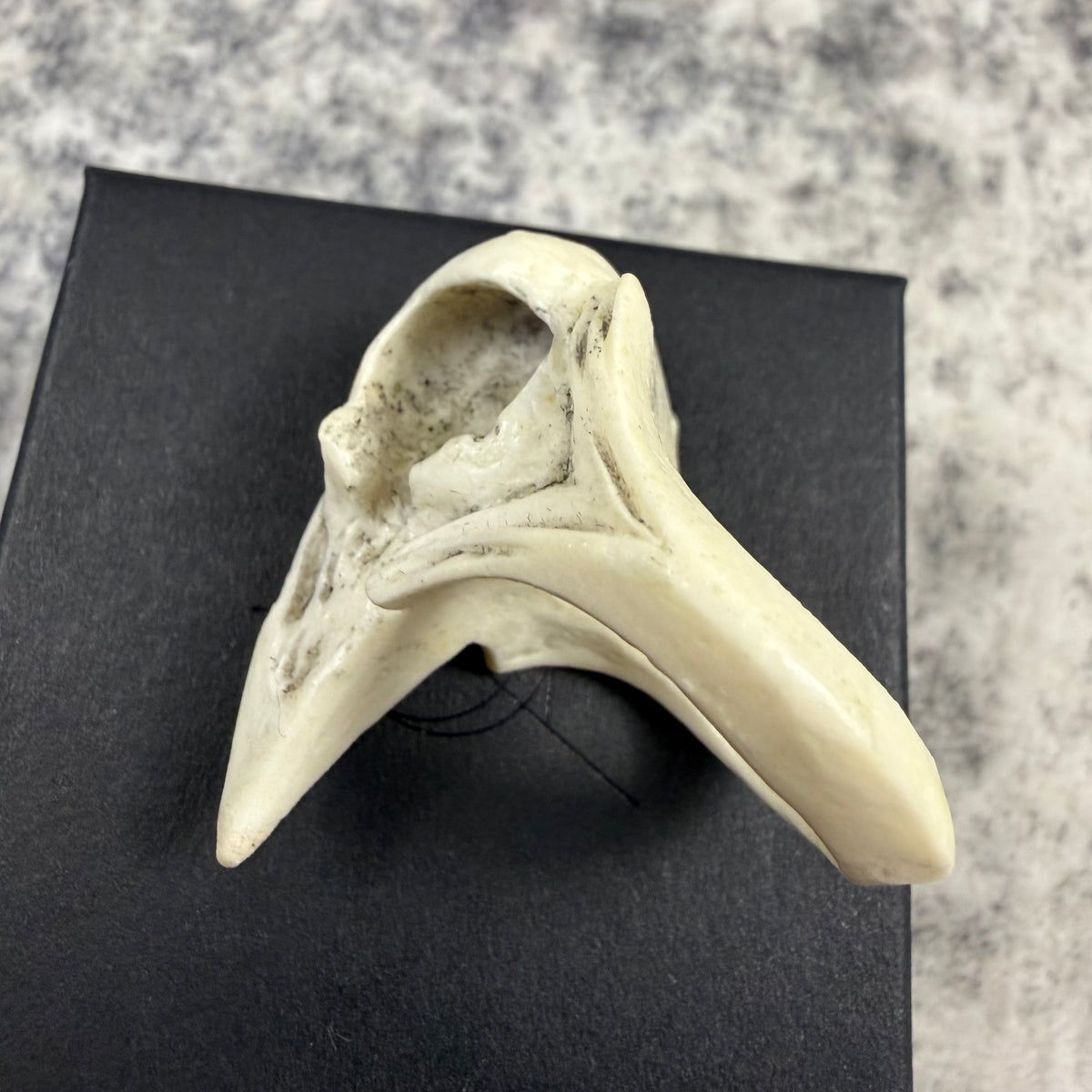 Macabre Gadgets Raven Skull White Ring