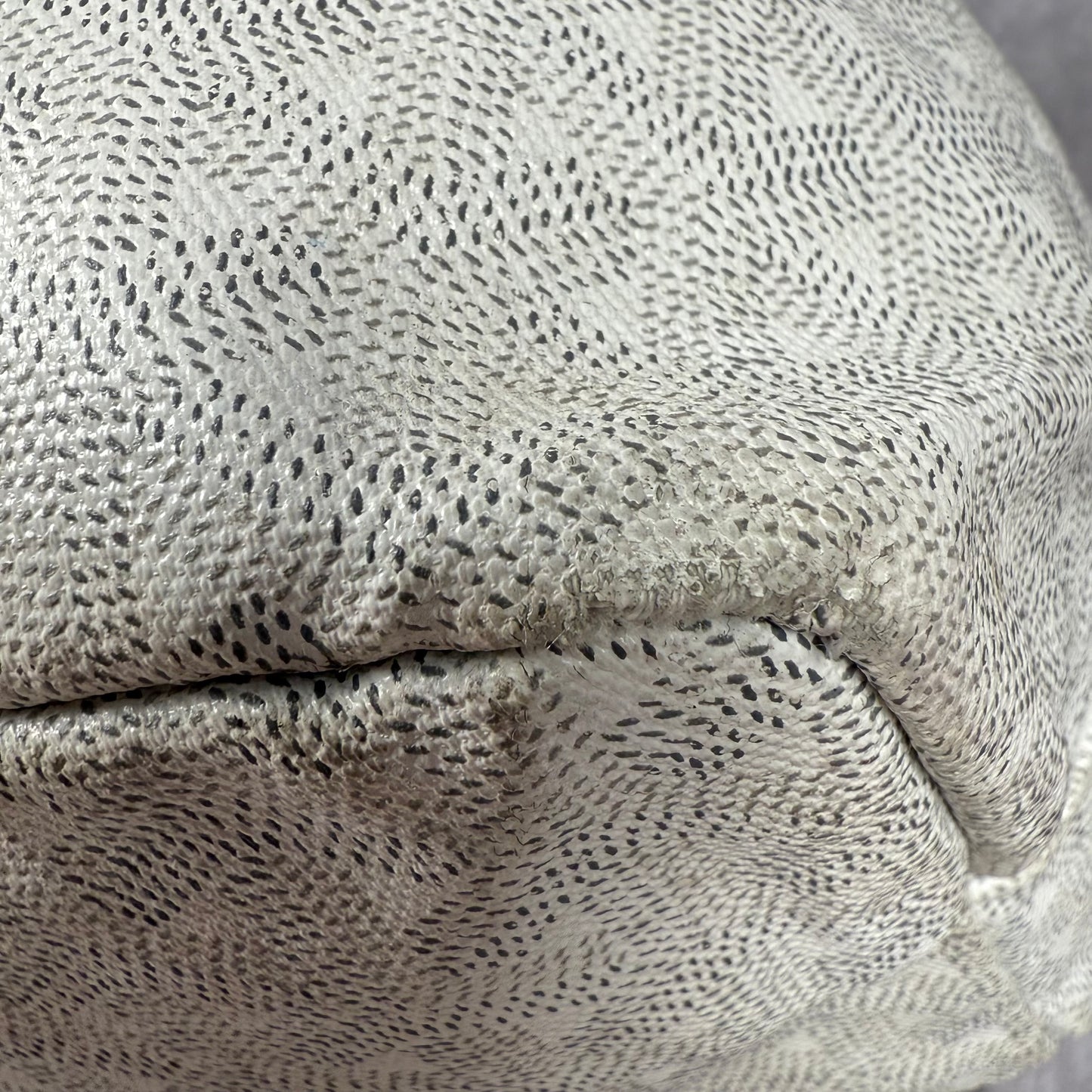 Goyard St. Louis PM Tote Bag Coated Canvas Leather White