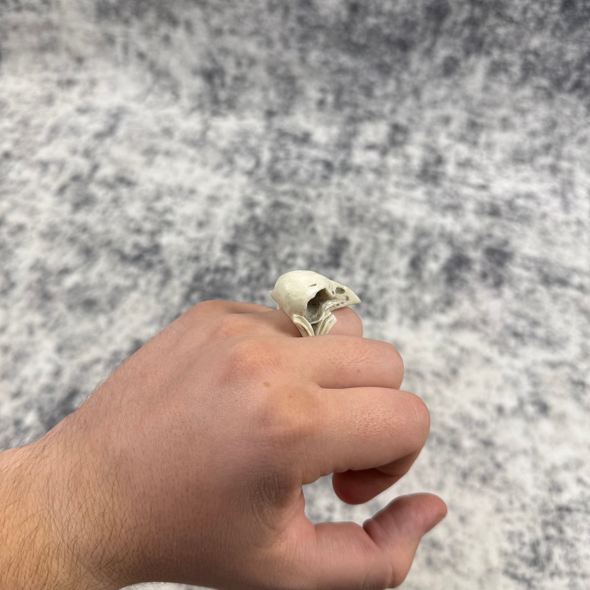 Macabre Gadgets Raven Skull White Ring