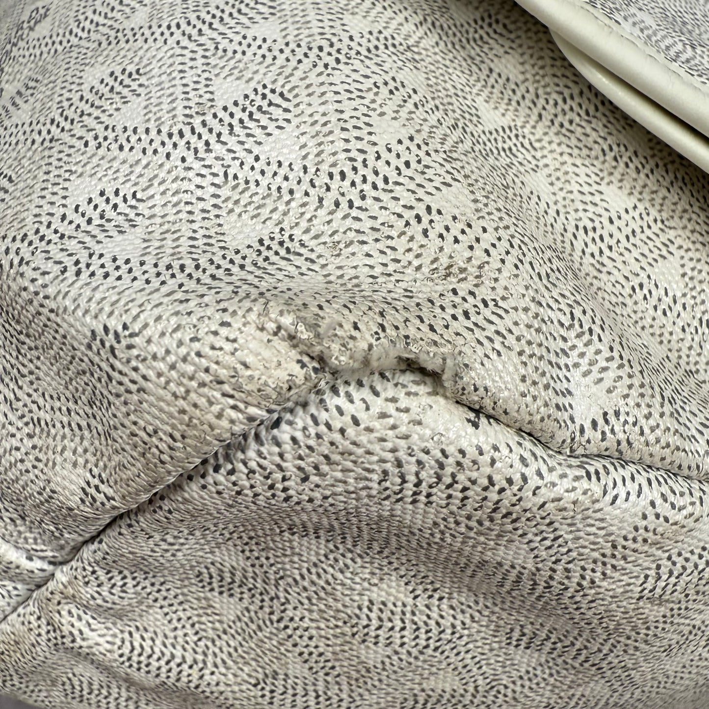 Goyard St. Louis PM Tote Bag Coated Canvas Leather White