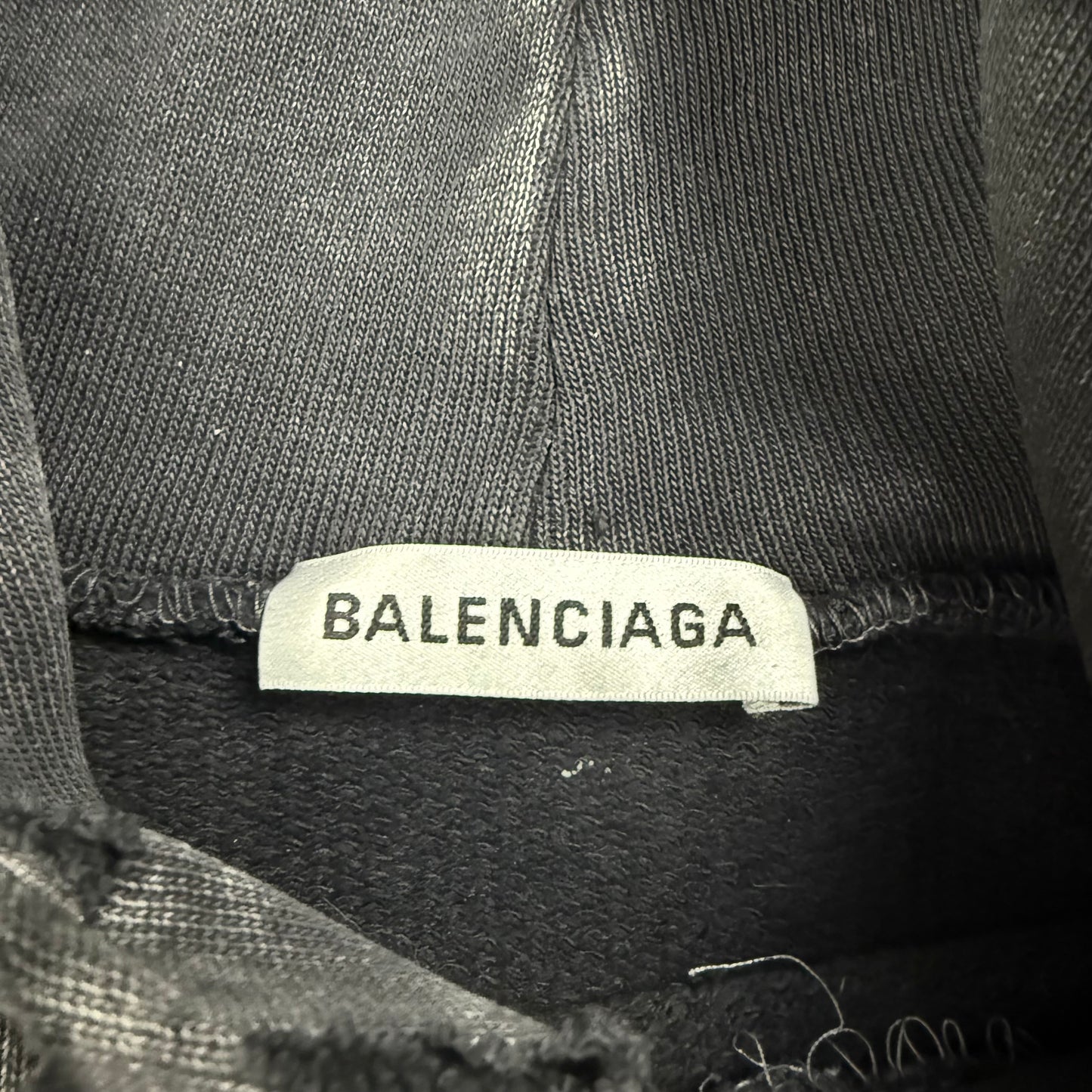 Balenciaga ‘19’ IUCN Blue Whale Hoodie