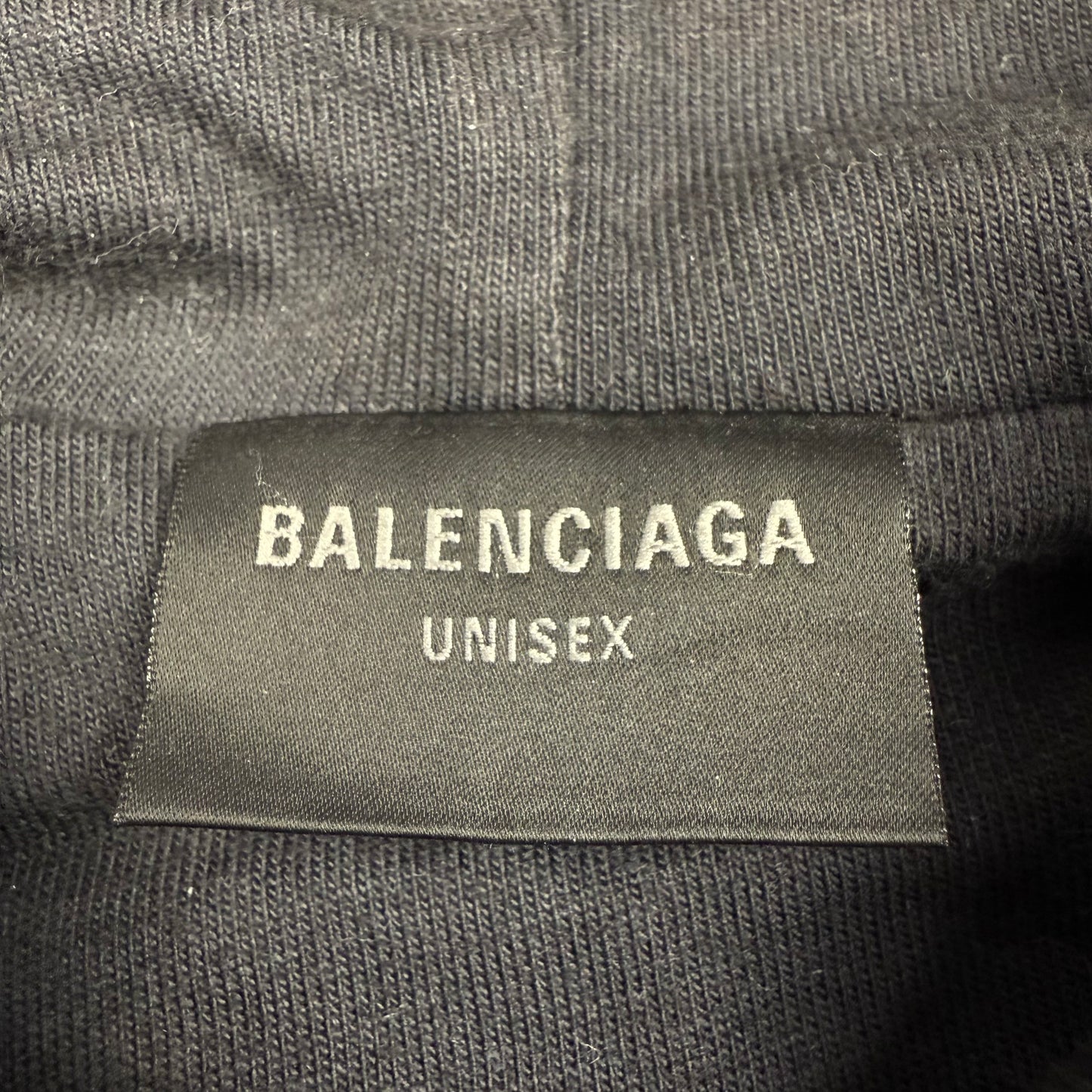 Balenciaga Lion Club Lined Embroidered Logo Hoodie